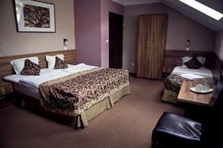 Отель Hotel Dębowe Wzgórze Wellness & Spa Ярнолтувек Двухместный номер с 1 кроватью или 2 отдельными кроватями-3